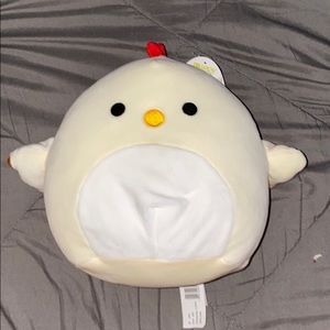 todd the squishmallow